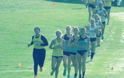 Cross Country Finds Success at Ferris State Invite