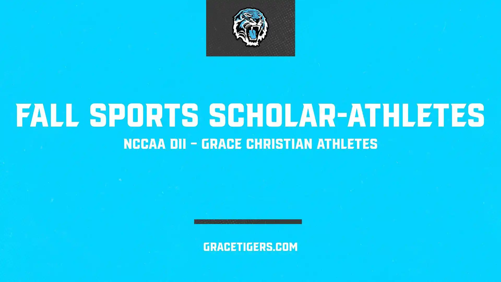Scholar Athletes banner