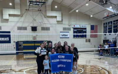 Volleyball Wins Regional Final In 5-Set Dual