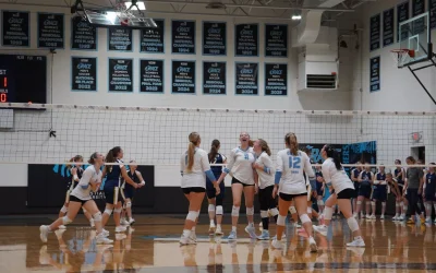 Tigers Volleyball split weekend regional matches